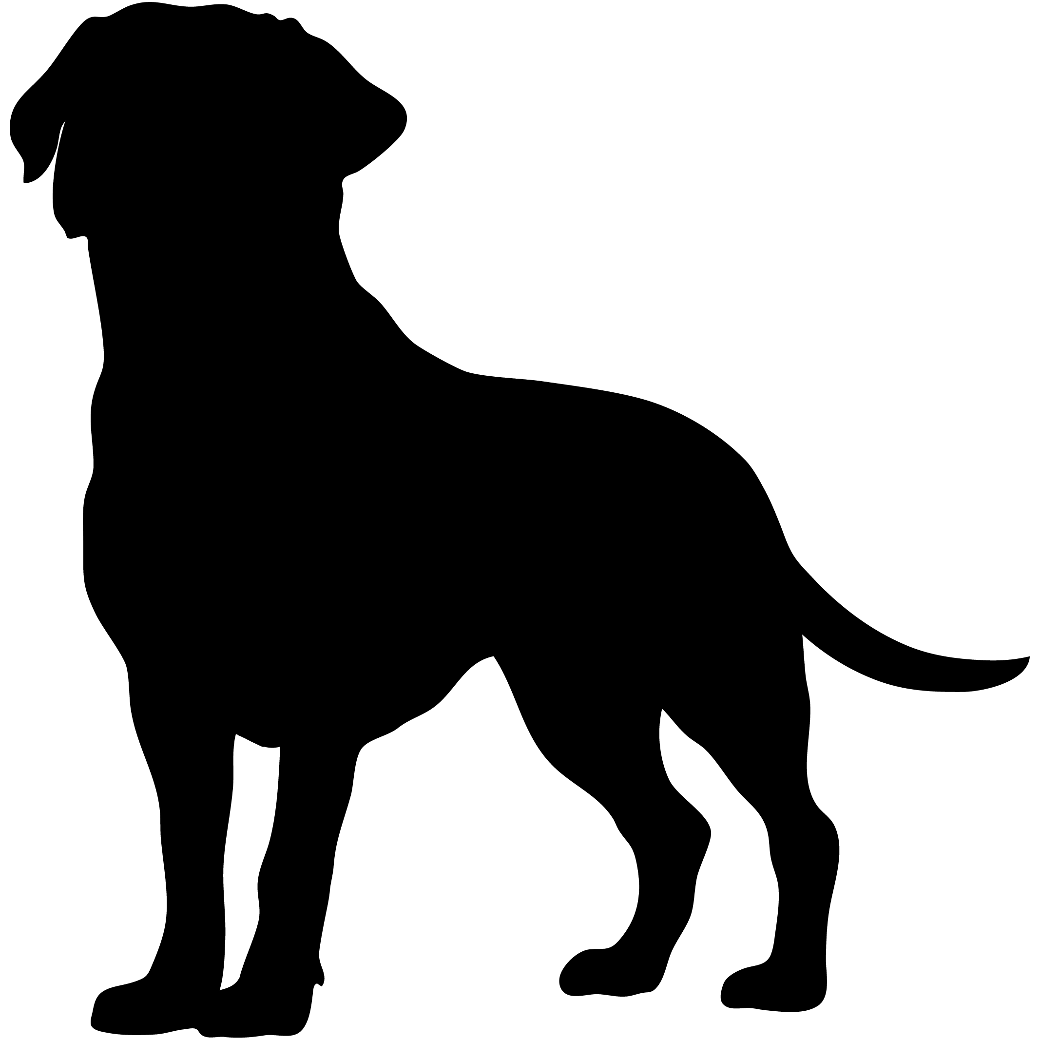 トリミング